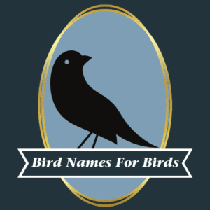 logo for Bird Names for Birds