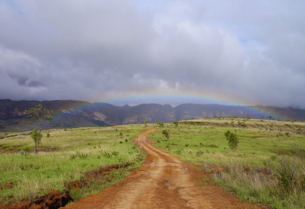 Dirt road disappearing to Madagascar's horizon, lush grasses on either side and a rainbow stretching across.